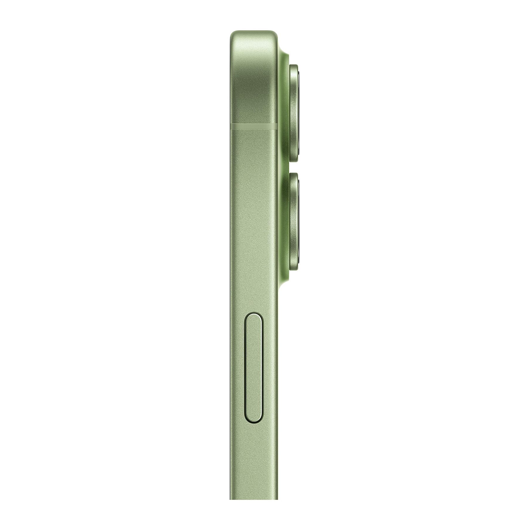 ASSET_MMS_161535156